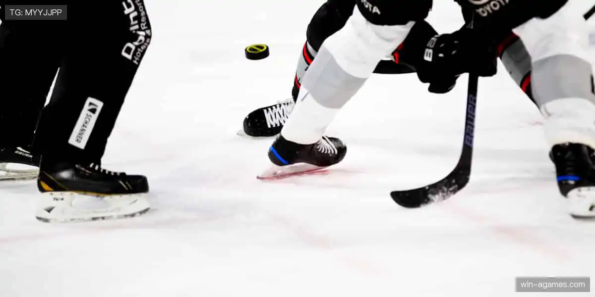 🎯💪 专业装备，助力每一次突破！